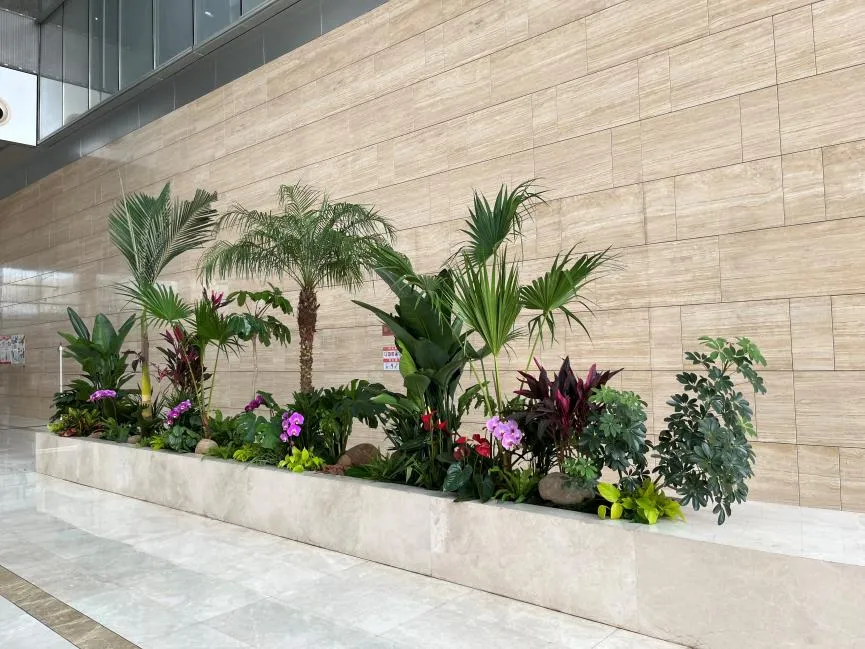 宁波鄞州绿化养护，优质服务打造绿色美景！